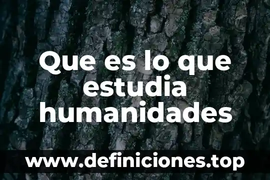 Que es el materialismo historico y que estudia 3 Que es lo que estudia humanidades