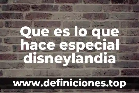 Que es pdi educacion especial 8 Que es lo que hace especial disneylandia
