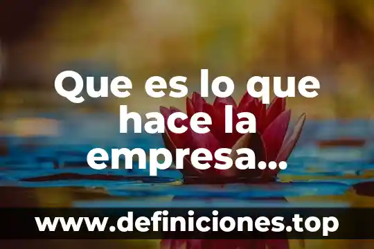 Que es visión en proyectos de inversión 5 Que es lo que hace la empresa bimbo