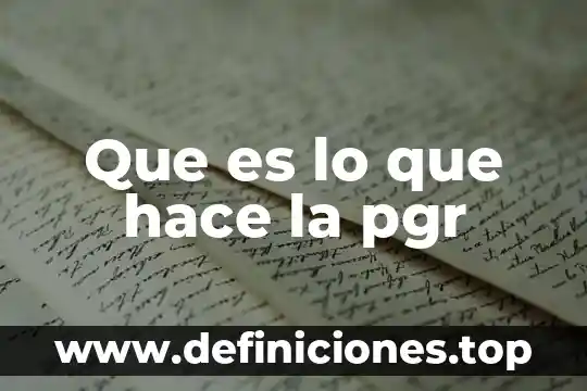 Que es lo bayer hace 5 Que es lo que hace la pgr