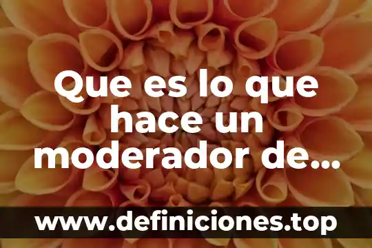 Que es foro en lenguaje computadoras 8 Que es lo que hace un moderador de un foro