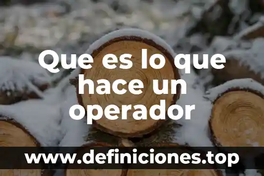 Que es lo que hace un operador