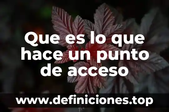 Que es dificultad en el acceso en programacion 6 Que es lo que hace un punto de acceso