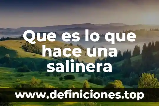 Que es lo que hace una salinera