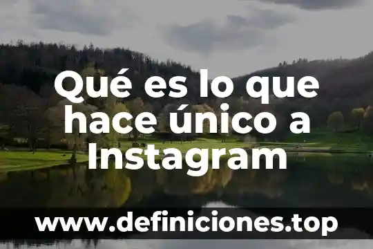 Socio comercial Instagram que es 5 Qué es lo que hace único a Instagram