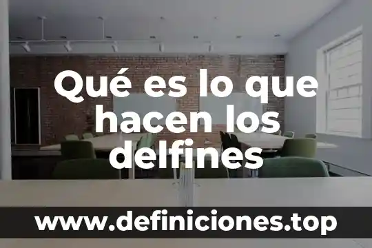 Que es lo que hacen las glenif 4 Qué es lo que hacen los delfines