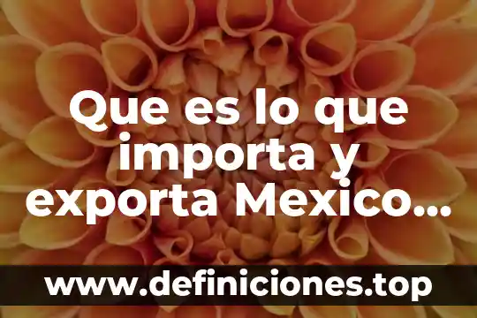 Que es lo que mas exporta jalisco 7 Que es lo que importa y exporta Mexico de España