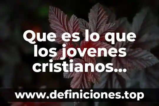 Que es ser compañero y equipo en tu matrimonio cristianos 5 Que es lo que los jovenes cristianos necesitan saber