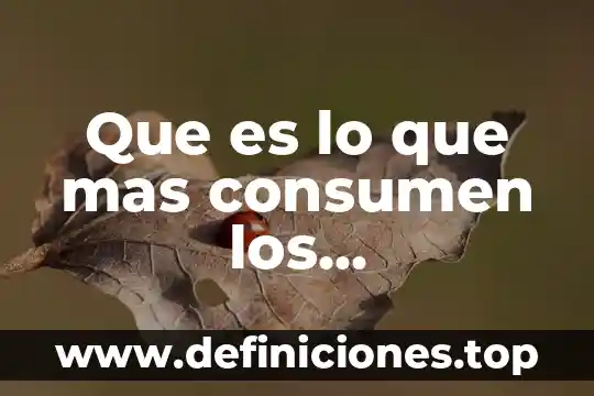 Qué es más lindo Tulum o Cancún 4 Que es lo que mas consumen los universitarios
