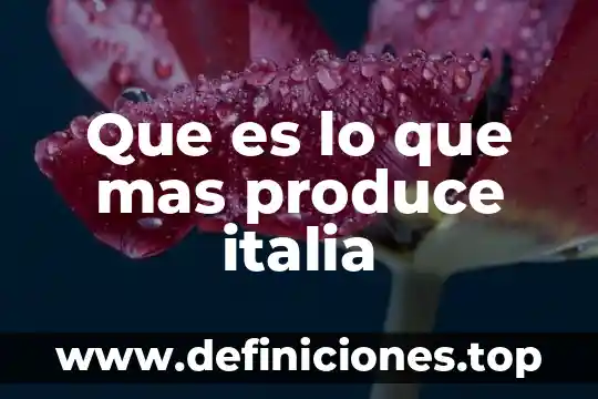 Que es lo que mas produce italia