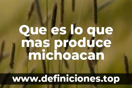 Que es lo que mas produce michoacan