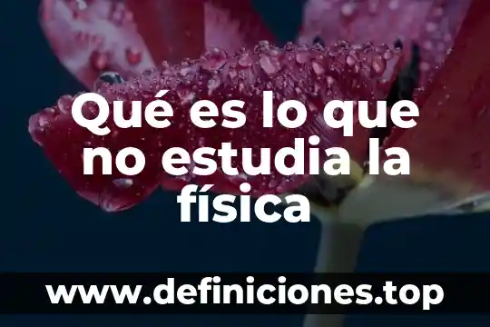 Que es un lux en física 8 Qué es lo que no estudia la física