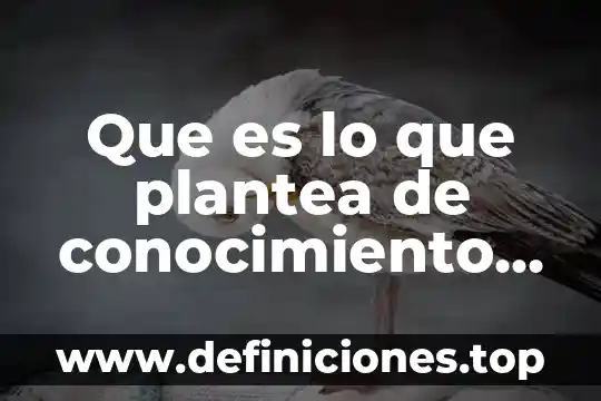 Que es perder el conocimiento 7 Que es lo que plantea de conocimiento racionalismo