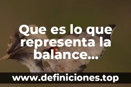 Que es un balance químico 8 Que es lo que representa la balance general