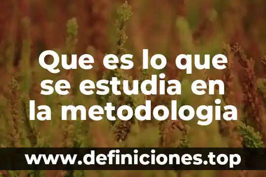 Que es el materialismo historico y que estudia 6 Que es lo que se estudia en la metodologia