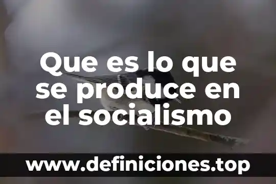 Qué es el feudalismo capitalismo y socialismo 4 Que es lo que se produce en el socialismo