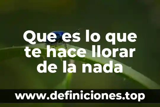 Que es lo que te hace llorar de la nada