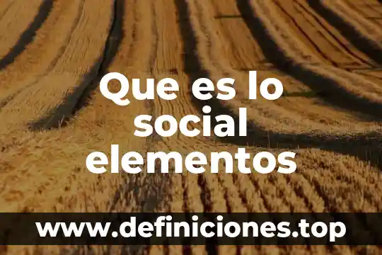Que es lo social elementos