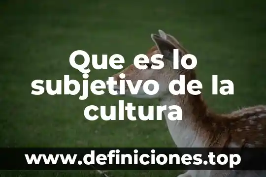 Que es el tipo objetivo y subjetivo en derecho penal 4 Que es lo subjetivo de la cultura
