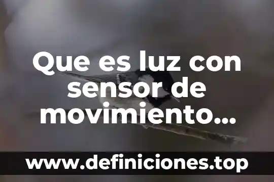 Que es un sensor en sistemas de control 5 Que es luz con sensor de movimiento circuito