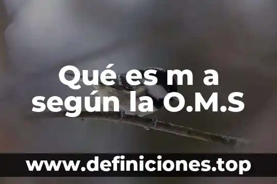 Que es el ego segun yoga 8 Qué es m a según la O.M.S