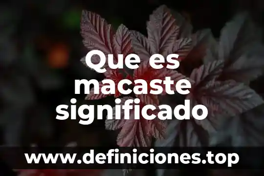 Que es macaste significado