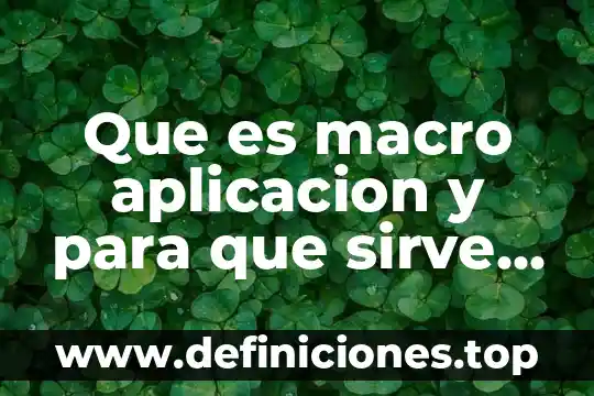 Que es macro aplicacion y para que sirve libro
