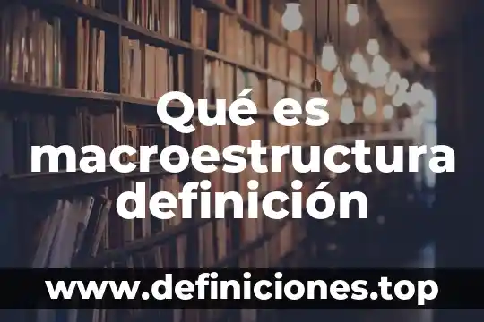 Qué es macroestructura definición