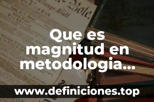 Qué es metodología para el desarrollo de software 5 Que es magnitud en metodologia dela investigacion diabetes