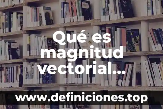 Qué es magnitud vectorial ejemplos