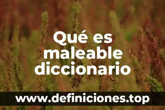 Aláikum as-salam que es en español 7 Qué es maleable diccionario