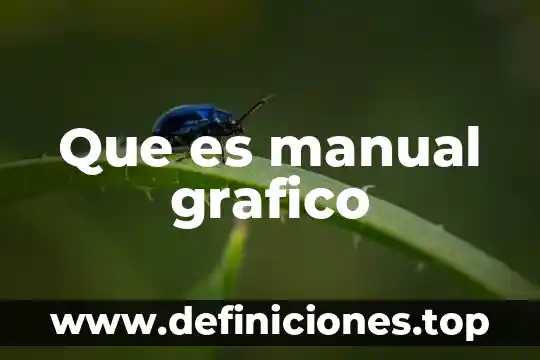 Qué es un gráfico piramidal 7 Que es manual grafico