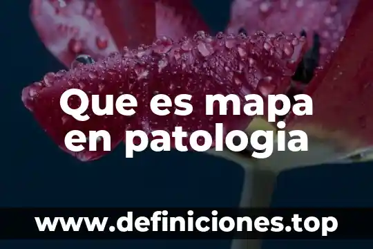 Que es la patologia del corazon mas frecuente 4 Que es mapa en patologia
