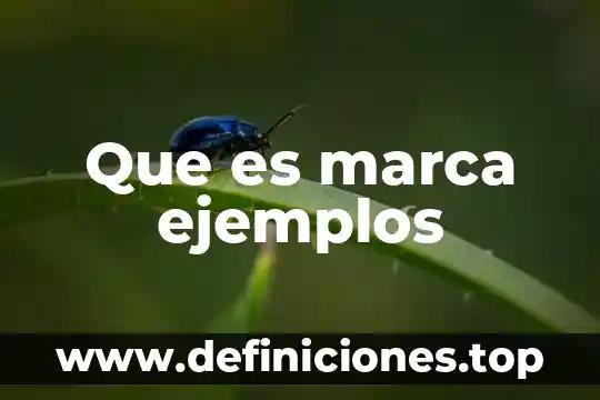 Qué es un hecho sincrónico y ejemplos 6 Que es marca ejemplos