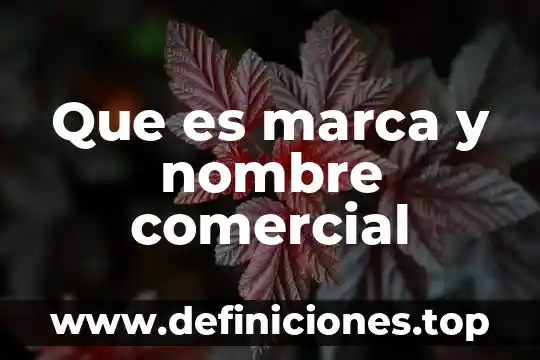 Que es marca y nombre comercial