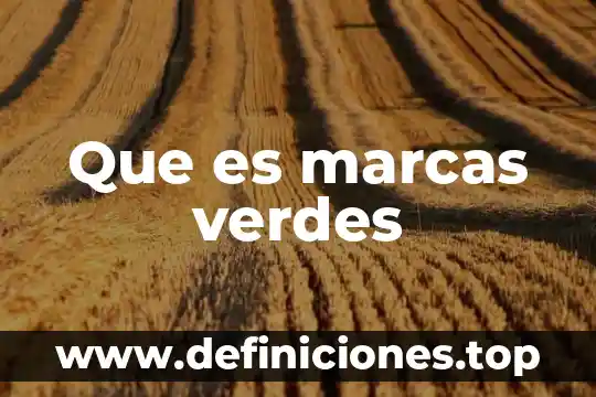 Qué es exclusividad en una empresa marcas 4 Que es marcas verdes