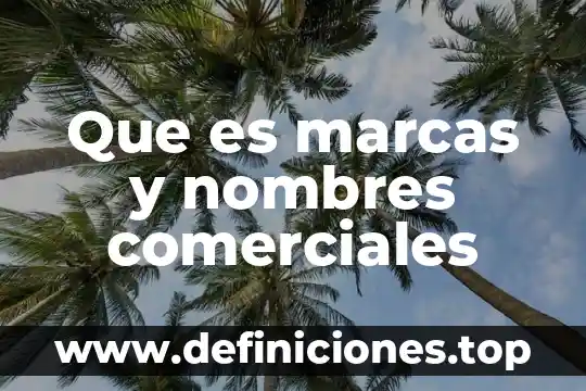 Qué es exclusividad en una empresa marcas 7 Que es marcas y nombres comerciales