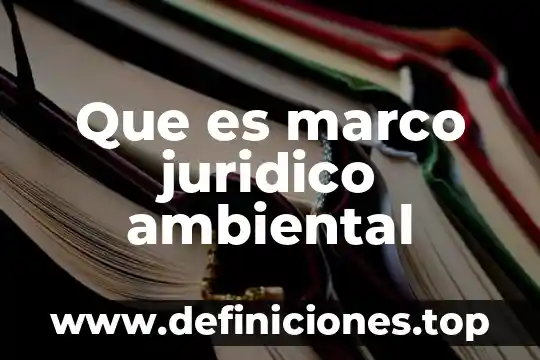 Que es un ensayo jurídico 5 Que es marco juridico ambiental