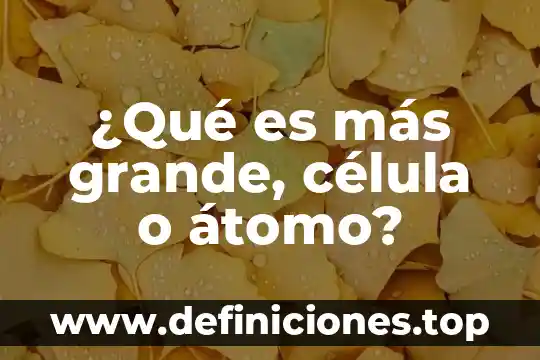 Qué es más grande amar o adorar 4 ¿Qué es más grande, célula o átomo?