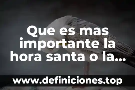 Libro que es la misa ediciones dabar 6 Que es mas importante la hora santa o la misa