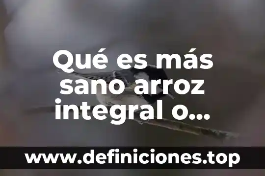 Qué es más sano arroz integral o blanco