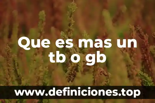 Que es mas un tb o gb