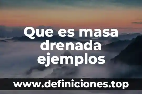 Qué es un informe científico cuáles son las partes 8 Que es masa drenada ejemplos