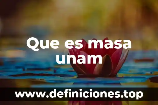 Qué es una transferencia de masa 7 Que es masa unam