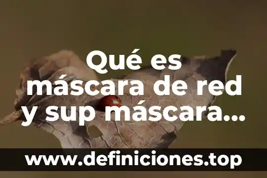 Qué es un protocolo de red físico 8 Qué es máscara de red y sup máscara de red
