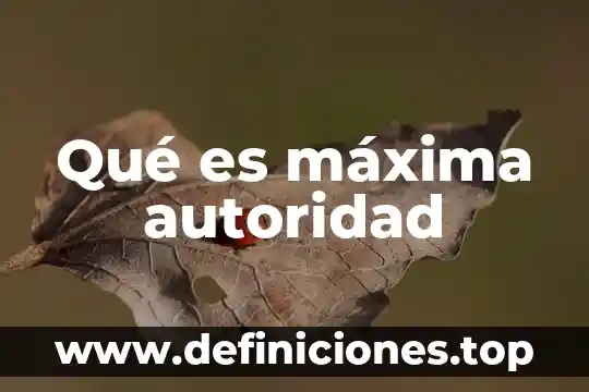 Que es una maxima en derecho 5 Qué es máxima autoridad