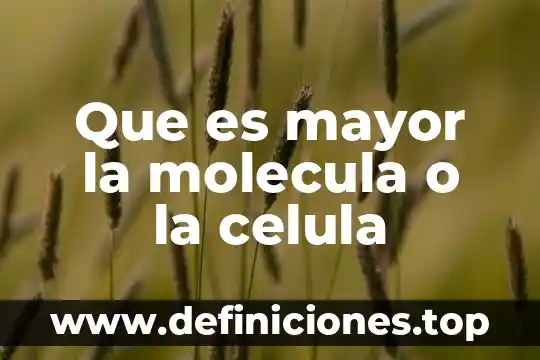 Que es primero la molecula o la celula 4 Que es mayor la molecula o la celula