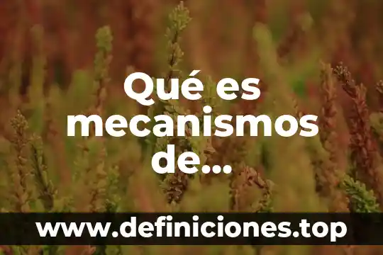 Qué es el calor como energía 8 Qué es mecanismos de transferencia de calor