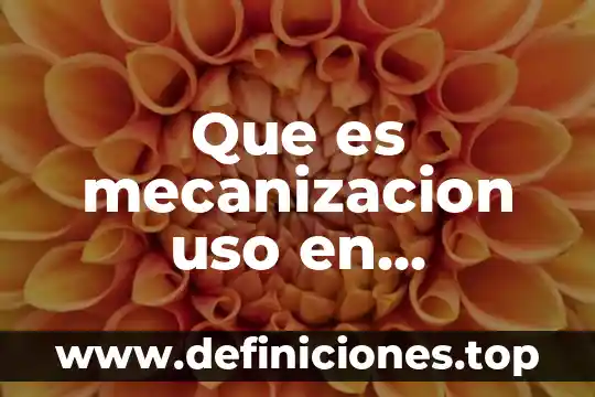 Que es mecanizacion uso en arquitectura