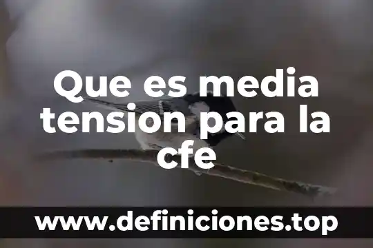 Breve explicación de que es la media luna slp 8 Que es media tension para la cfe